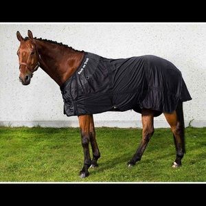 ISO Back on track horse items